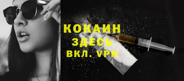 сатива Зерноград