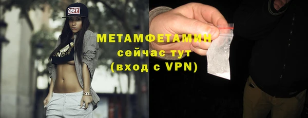 сатива Зерноград
