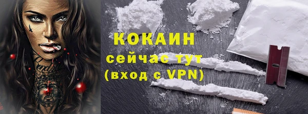 сатива Зерноград