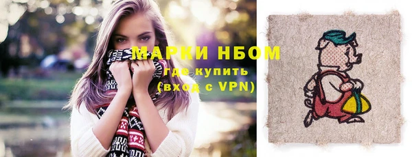 сатива Зерноград